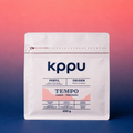 TEMPO